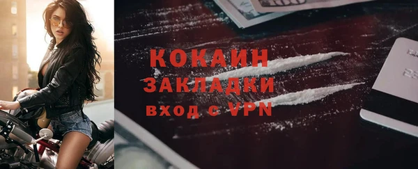 твердый Медногорск