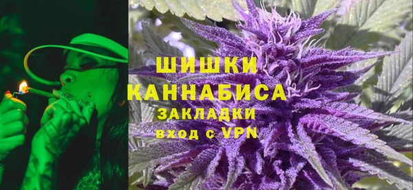 твердый Медногорск