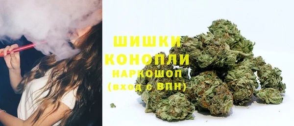 твердый Медногорск