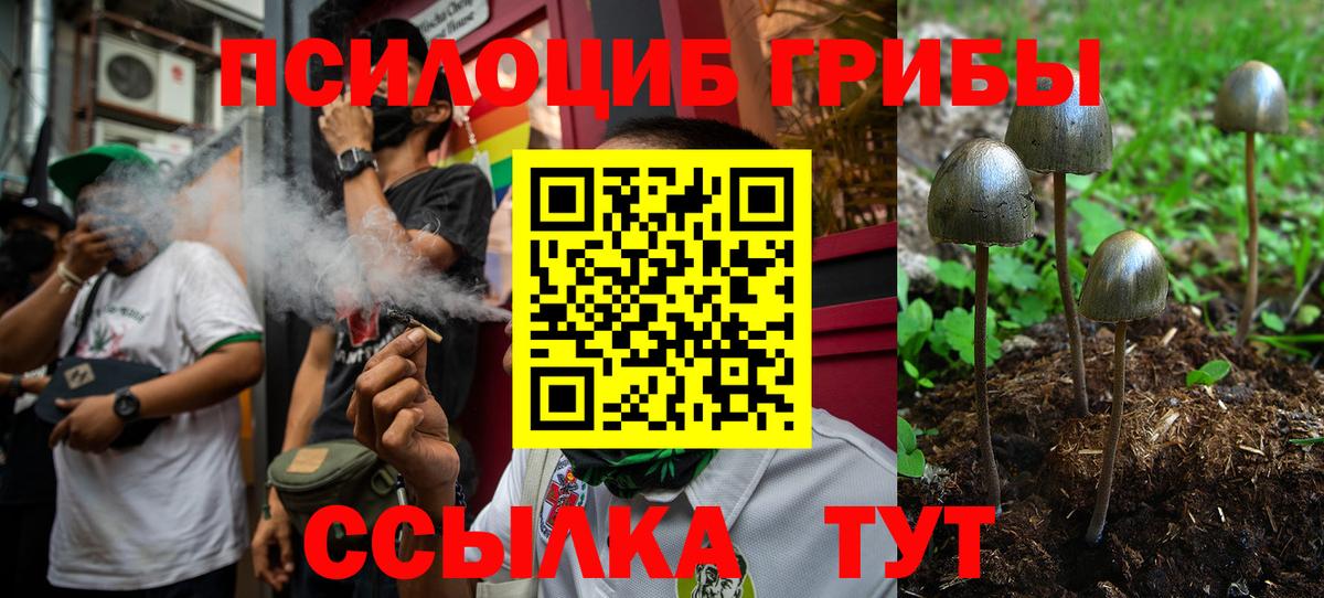 сколько стоит  Галлюциногенные грибы GOLDEN TEACHER  Вход с VPN  Псилоцибиновые грибы Cubensis  Новоуральск 