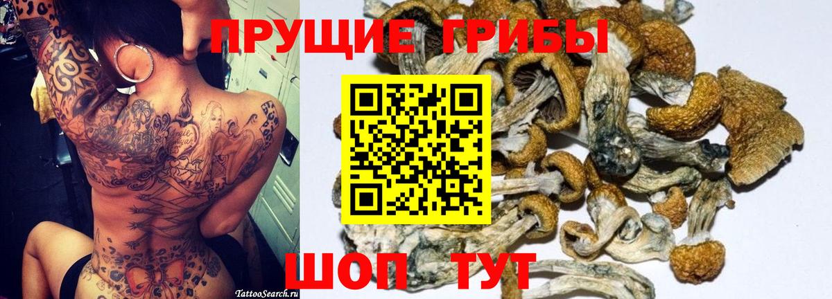 Галлюциногенные грибы мухоморы Новоуральск